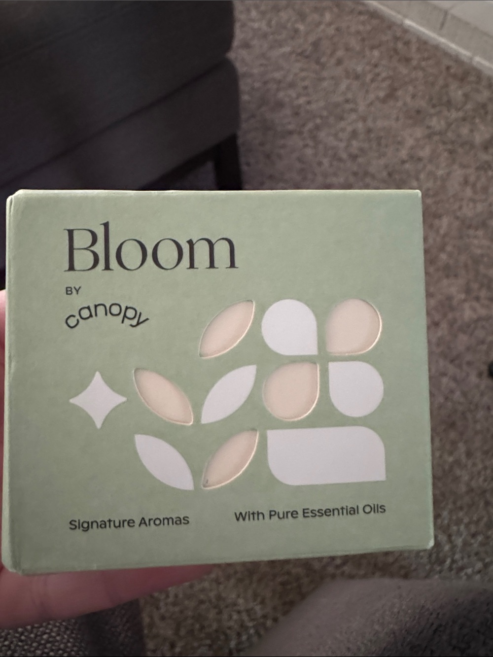 Bloom by Canopy Aromatherapy Diffuser Pods - Sage Green
